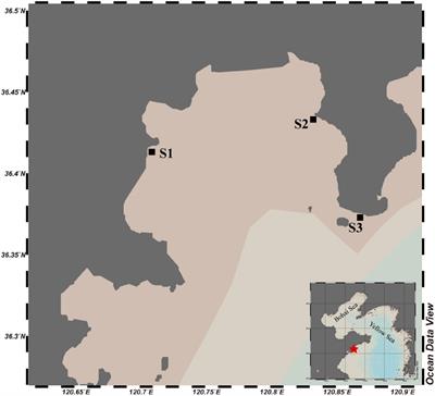 Bacterial Community in Cold Surge-Caused Sea Ice Differs From Seawater in Mid-Latitude Region: A Case Study in Aoshan Bay, Southern Yellow Sea